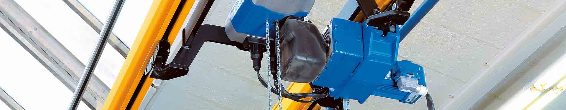 Electric chain hoist Electric chain hoist