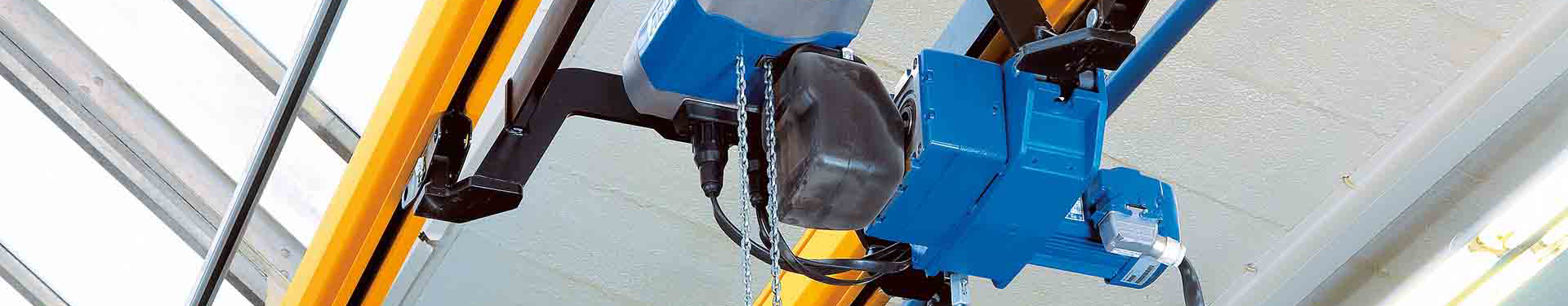 Electric chain hoist